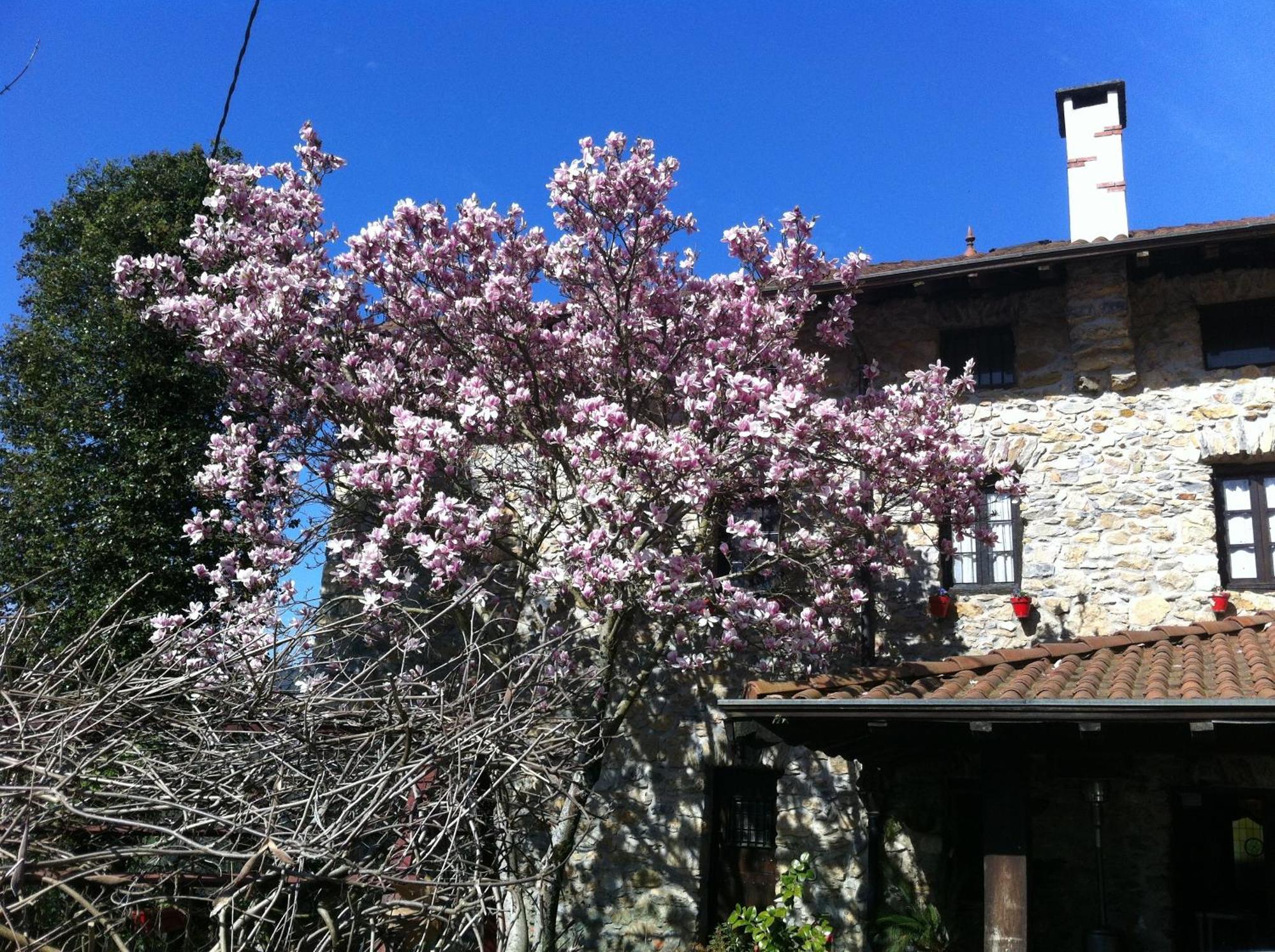 Agroturismo Izarre Régil Exterior foto
